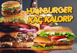Hamburger Kaç Kalori? Kalorisi ve Besin Değerleri